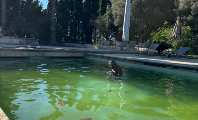 Recherche de fuites piscine Aujourd'hui , Remoulins, 4CANA